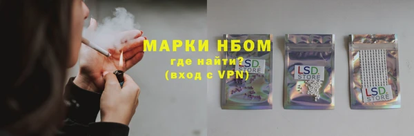 индика Белокуриха